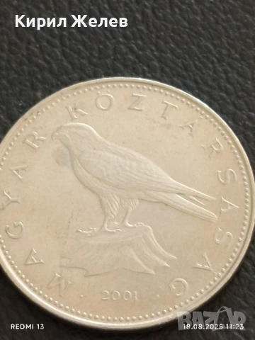 Шест монети от цял свят ПАНАМА, ИНДИЯ,ИРАК за КОЛЕКЦИЯ ДЕКОРАЦИЯ 20682, снимка 5 - Нумизматика и бонистика - 51401086