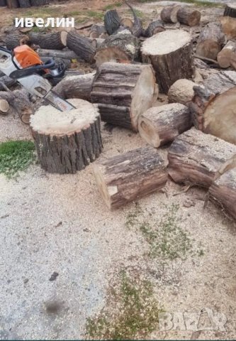 рязане на дървета, храсти, косене на треви, фрезоване , снимка 10 - Други услуги - 43562142