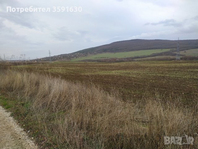 Парцел 7000м2 с.Осеново от Собственик, снимка 6 - Парцели - 43252442