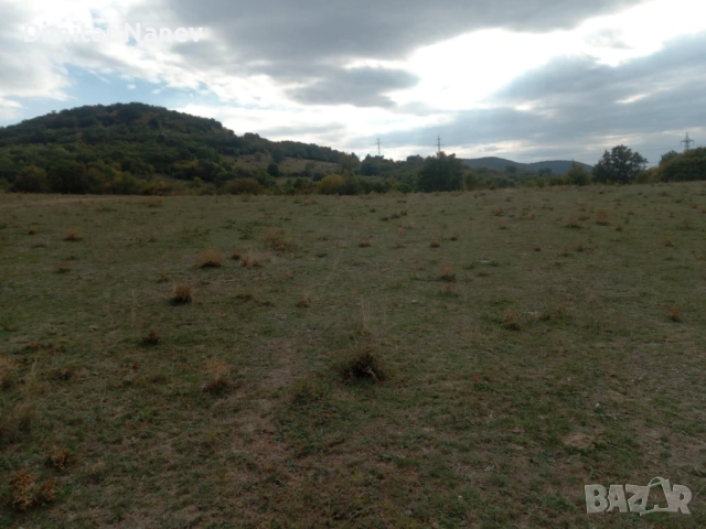 Продавам нива, с. Змейово, област Стара Загора, снимка 4 - Земеделска земя - 52054903