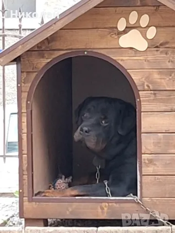 кучешка къща,къща за куче,колиба за куче,кучешка колиба, снимка 17 - За кучета - 50185593