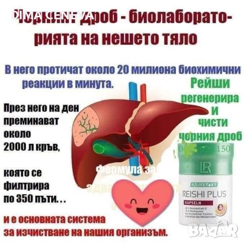 Гъба Рейши . Чудото, против ракови клетки!, снимка 5 - Други услуги - 44031885