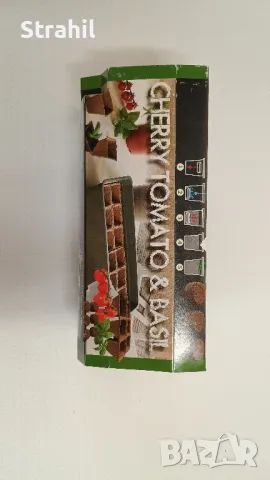 Семена за разсад на чери домати/босилек и сладка чушка/магданоз , снимка 6 - Сортови семена и луковици - 49099996