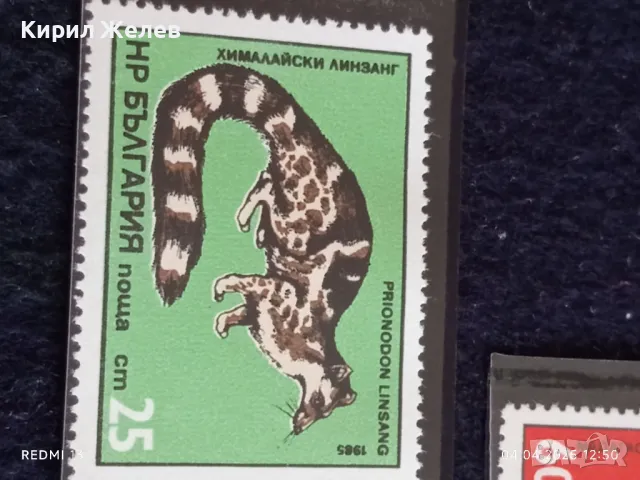 Пощенски марки серия ЖИВОТНИ чисти без печат от соца за КОЛЕКЦИЯ 46689, снимка 4 - Филателия - 49760822