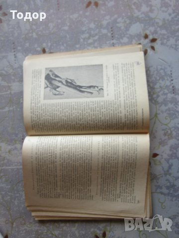 Книга Ветеринарно акушерство и искуствено осеменяване , снимка 4 - Специализирана литература - 32567281