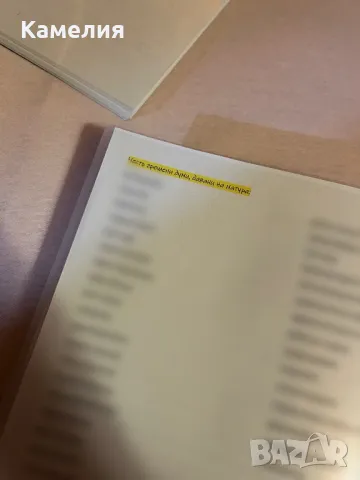 Материали по български език и литература за 11 и 12 клас, снимка 4 - Други - 49178779