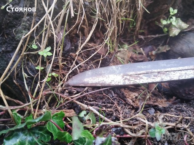 Нож на дневалния БГ., снимка 7 - Антикварни и старинни предмети - 48788060