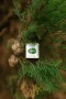 Oilo БИО Етерично Масло от Кора от Вечнозелен кипарис (Cupressus sempervirens) - Cypress Oilo 5 мл., снимка 5
