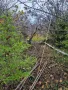 Парцел с. Кичево, снимка 7