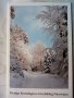 Картичка зима Presttige Kerstdagen en Gelukkig Nieuwajaar 39, снимка 1 - Филателия - 28549735