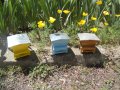  Сувенири за пчелари, снимка 5