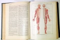 LAROUSSE MEDICAL ILLUSTRE, снимка 8