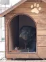 кучешка къща,къща за куче,колиба за куче,кучешка колиба, снимка 17