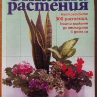Стайни растения.Най-красивите 300 растения,които можете да отгледате в дома си,Жечка Георгиева,Колиб, снимка 1 - Енциклопедии, справочници - 28500789