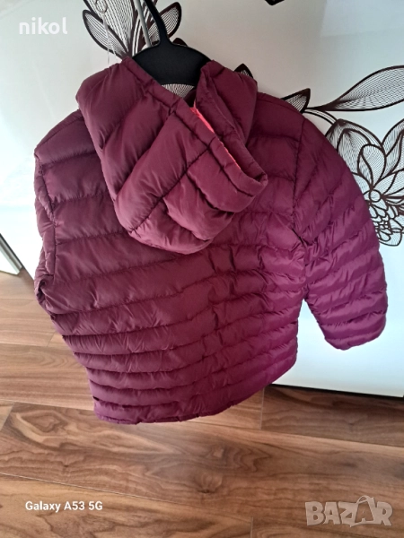 Есенно якенце, снимка 1