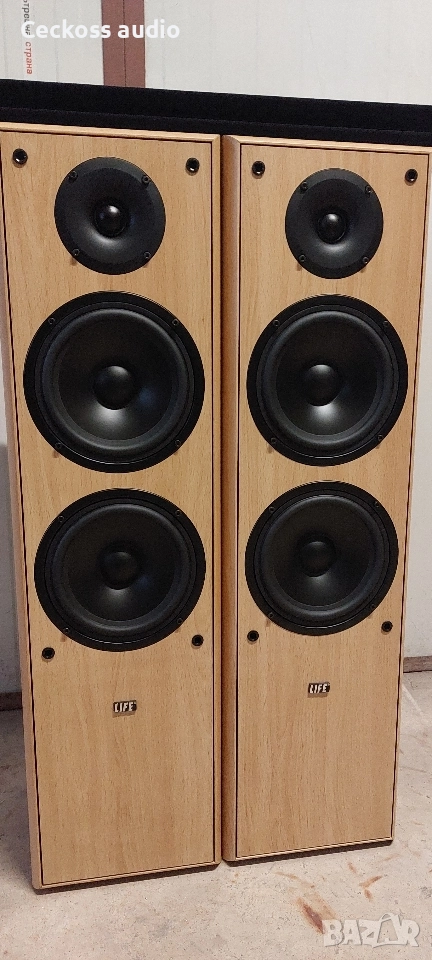 Тонколони LIFE L5454, снимка 1