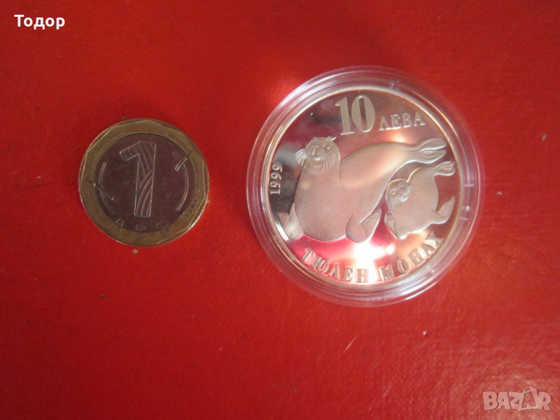 10 лева  1999 Тюлен Монах сребърна монета , снимка 1