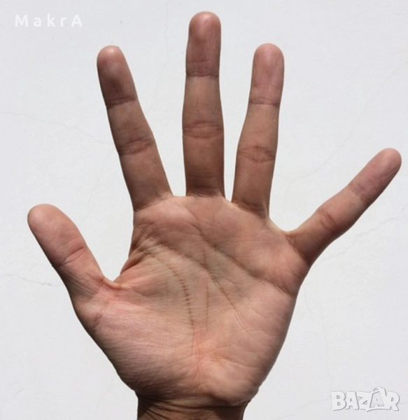 ХИРОМАНТИЯ - Анализ по линиите и формата на ръката. Прогнозиране според датата, месеца и годината., снимка 1