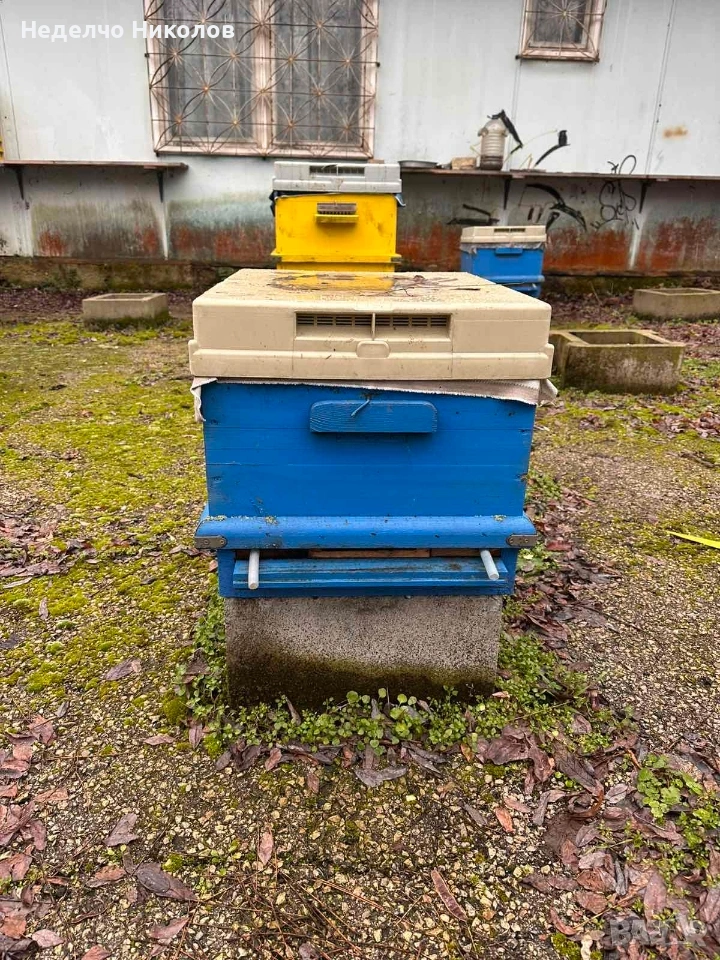 Пчелни кошери и корпуси, снимка 1