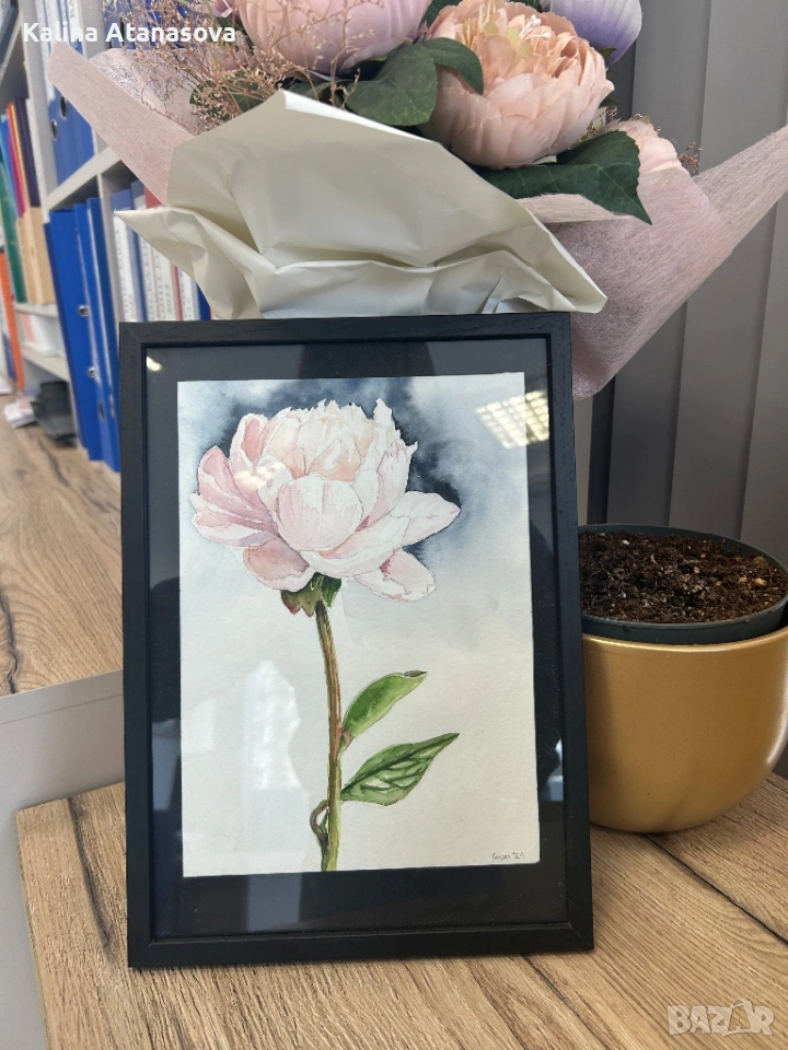 Ръчно рисувана акварелна картина – Божур, снимка 1