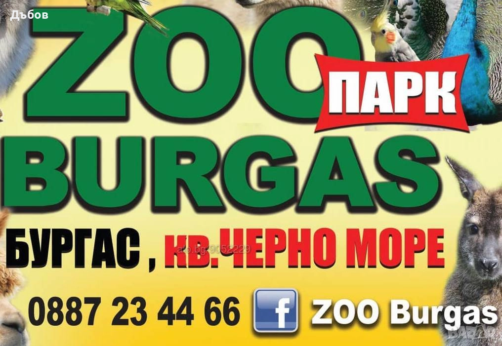 работници в зоопарк Бургас - 2000лв, снимка 1
