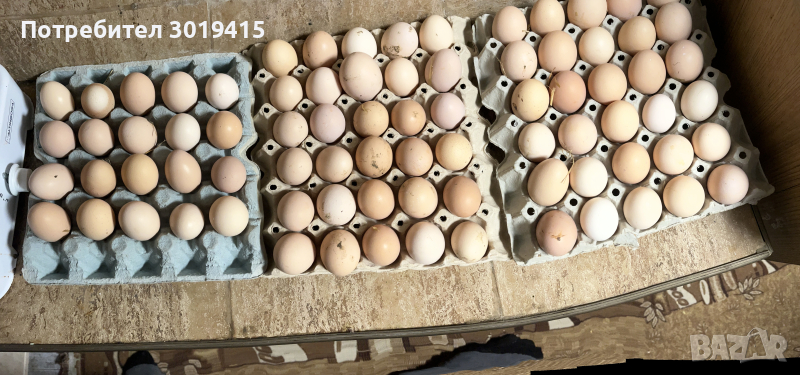 Яйца от СВОБОДНИ кокошки , снимка 1