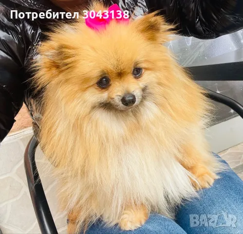 Мини пумеран 