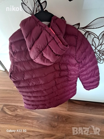 Есенно якенце