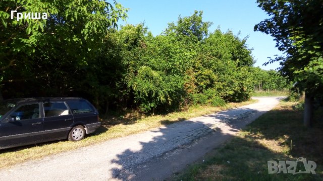 Продавам дворно място 1800м2 в с. Островче, снимка 17 - Парцели - 37517139