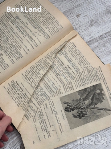 Лозарство| проф. Н. Неделчев и проф. М. Кондарев, снимка 8 - Други - 53568645