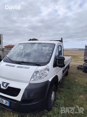 pejo boxer kamyonet nov vnos