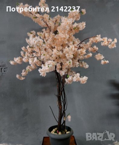 Изкуствени дръвчета японска вишна, снимка 11 - Градински цветя и растения - 40157119