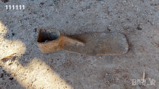 Мотика удължена 