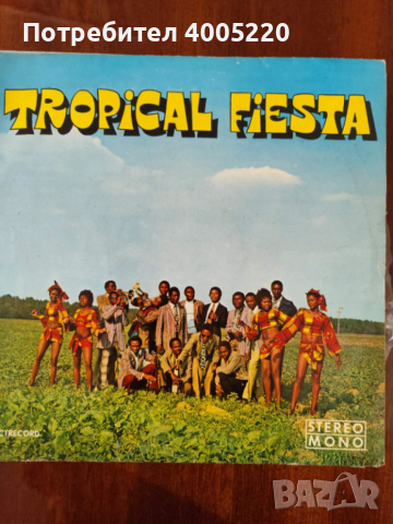 Грамофонни плочи - големи, снимка 10 - Грамофонни плочи - 52579014