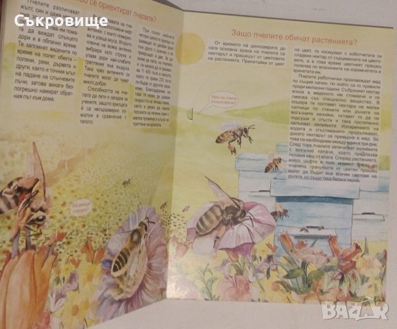 Детска картонена книжка голям формат Пчелите Загадките на природата, снимка 3 - Детски книжки - 43302877
