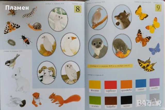 Зайчето Били и приятелите му търсят дъгата, снимка 5 - Детски книжки - 47619663