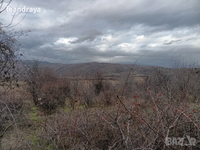 земя Бобошево, снимка 4 - Земеделска земя - 52885055