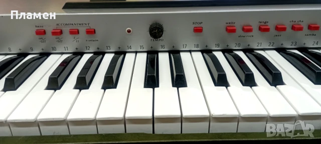 Италиански професионален синтезатор, йоника от 70-те години., снимка 3 - Синтезатори - 51103416