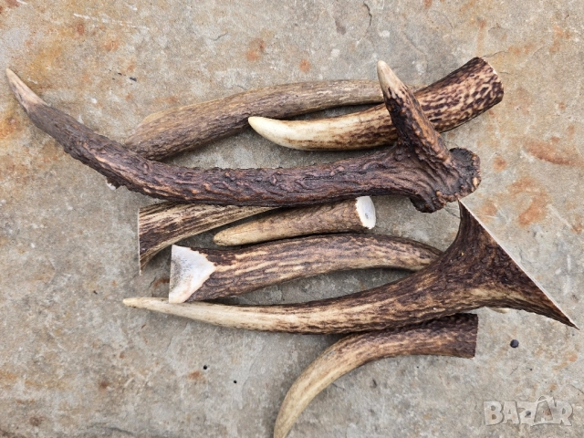 Лот от 8бр Еленски рокца , снимка 5 - Други - 52033288