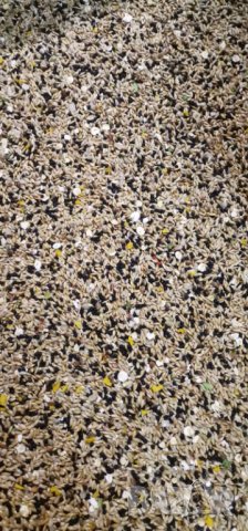 Смес/храна за канари класик, снимка 5 - Канари - 14923185