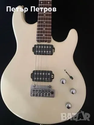 Willow’s Spirit , снимка 2 - Китари - 50323474