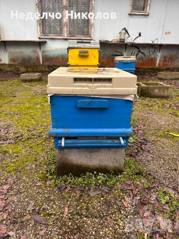 Пчелни кошери и корпуси