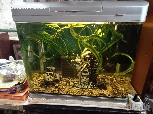 Аквариум , снимка 6 - Оборудване за аквариуми - 51778505