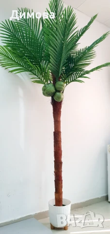 Палма изкуствена 240 см, снимка 4 - Други - 51019323