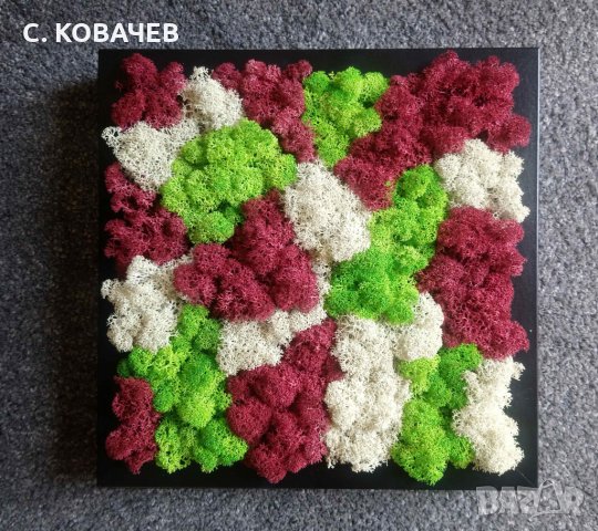 Уникални, модерни,свежи живи картини от естествен мъх.Градина в дома