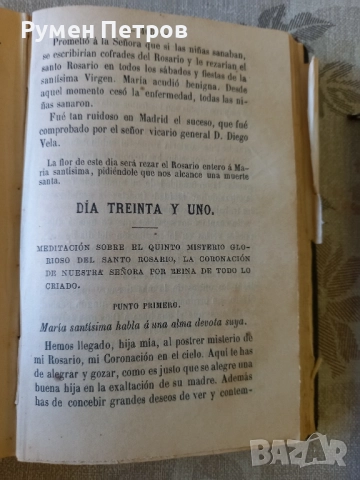Библия, Доминикански орден, 1886г., снимка 7 - Колекции - 51786852