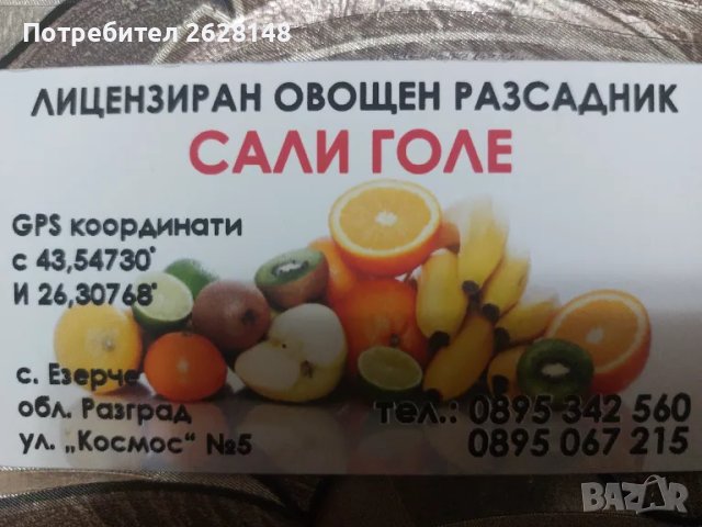 Овощни дръвчета, снимка 4 - Разсади - 48456381