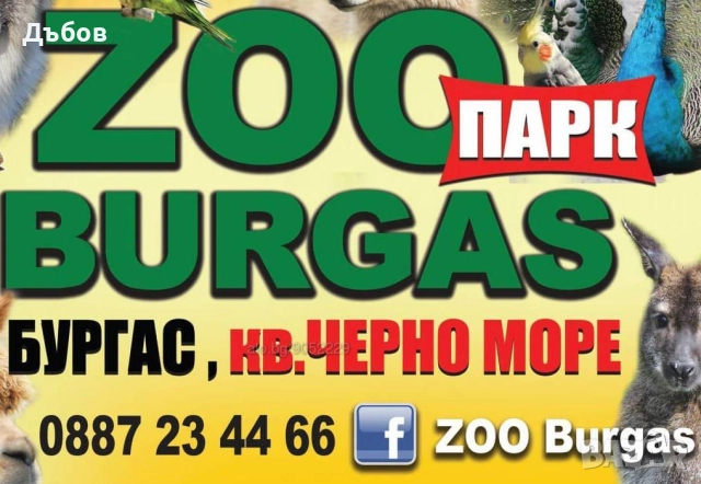 работници в зоопарк Бургас - 2000лв