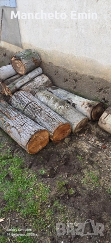 Продавам орехови трупчета , снимка 3 - Дърводелски услуги - 53302149