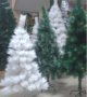 Коледни Елхи в различни размери от 9лв 12лв, 27лв Гъсти, кичести, реха, снимка 5